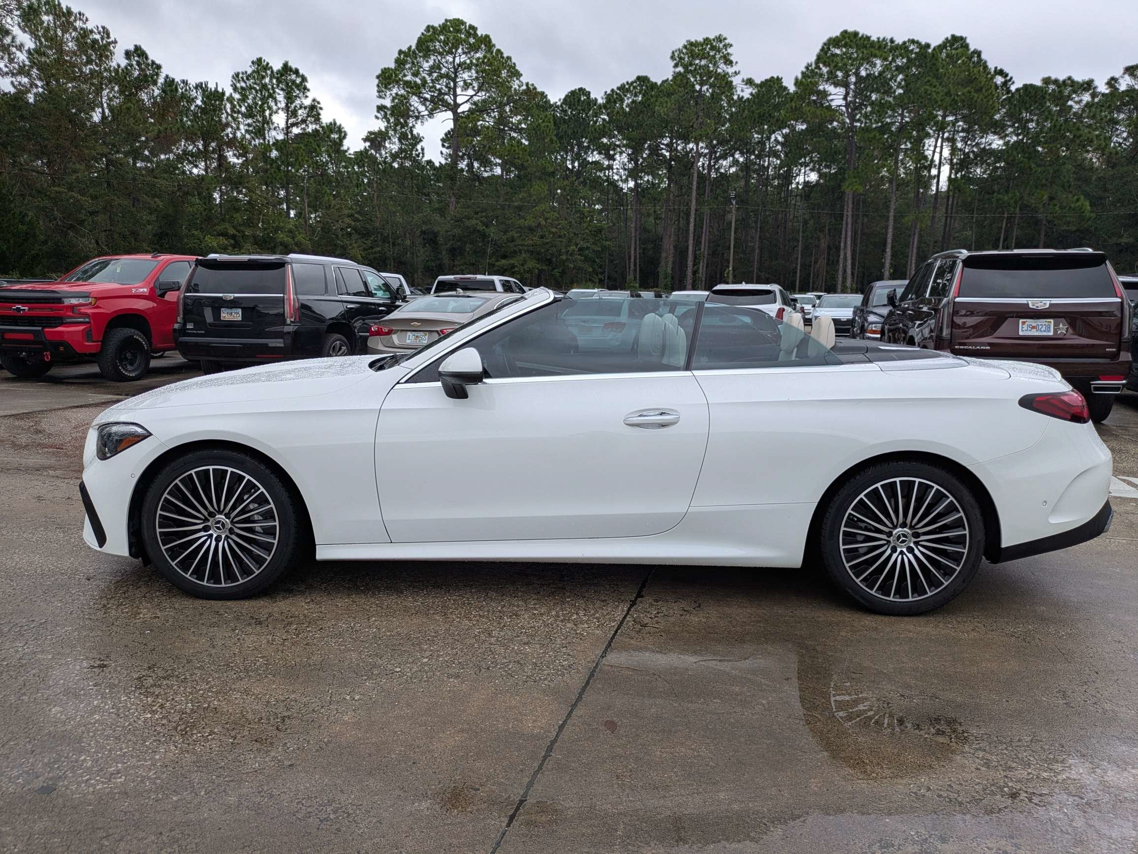 2024 Mercedes-Benz CLE CLE 450