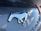 2024 Ford Mustang EcoBoost Fastback