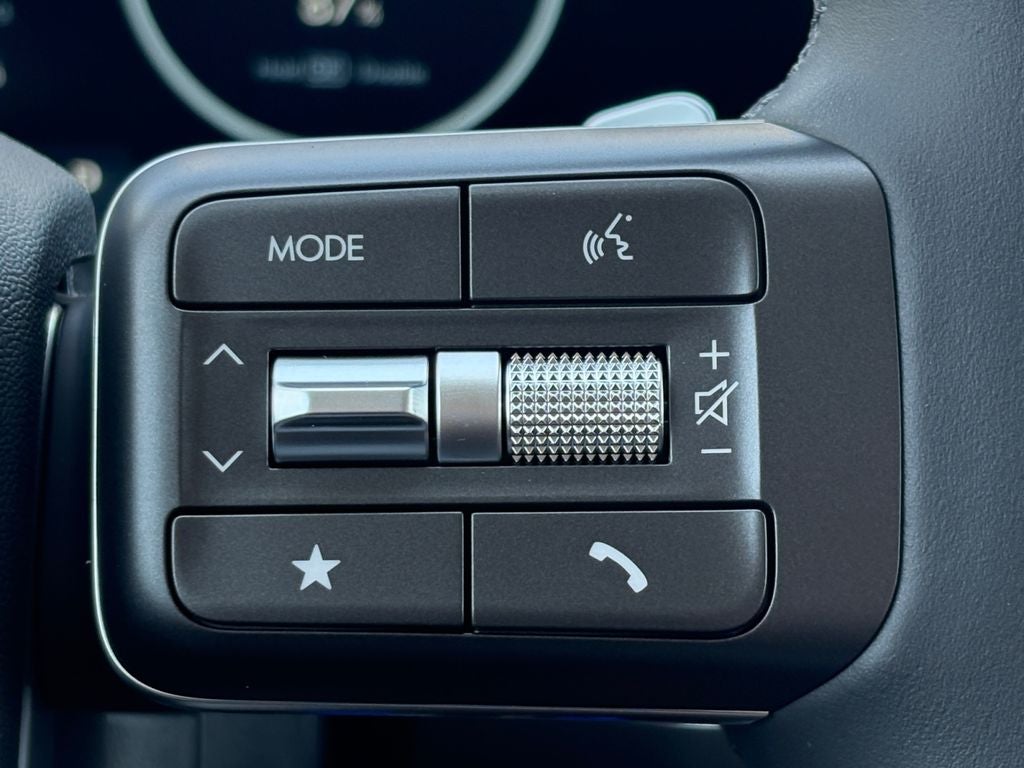 2026 Hyundai PALISADE HYBRID Blue SEL Premium 8P