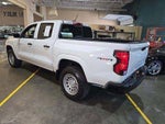 2024 Chevrolet Colorado WT